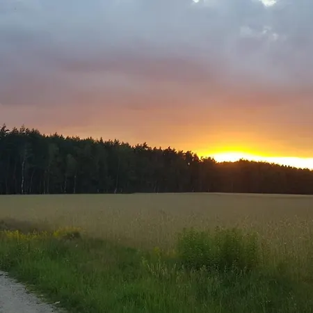 Willa Sova House Kruczy Borek